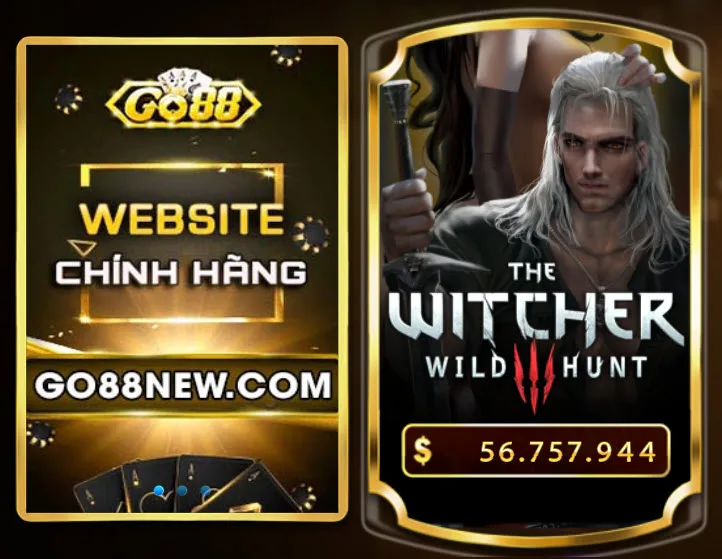 The Witcher go88