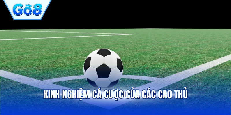 Kinh nghiệm cá cược của các cao thủ